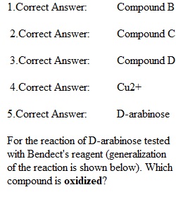 Quiz 16